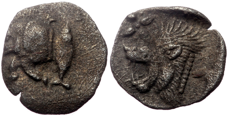 Mysia, Kyzikos, AR Tetartemorion. (Silver, 0.29 g 9 mm), Circa 450-400 BC. 
Obv:...