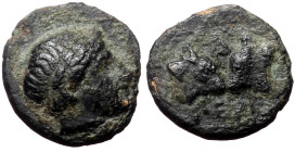 Mysia, Pergamon, AE, (Bronze,0.84 g 10 mm),Circa 450 BC. 
Obv:Laureate head of Apollo right 
Rev: ΠΕΡΓA, confronted bull's heads, ivy leaf above.
Ref:...