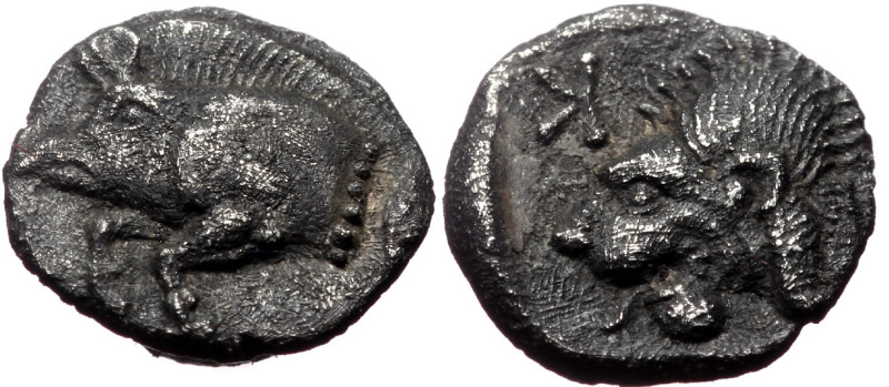 Mysia, Kyzikos, AR Hemiobol, (Silver,0.73 g 8 mm), Circa 525-475 BC. 
Obv: Forep...