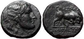 Seleukid Kingdom, Seleukos I Nikator, AE, (Bronze, 2.61 g 14 mm), 312-281 BC. Sardes.
Obv: Winged head of Medusa right.
Rev: BAΣIΛE[ΩΣ] / ΣΕΛΕΥΚ[OY], ...