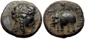 Seleukid Kingdom, Antiochos III Megas, AE,(Bronze, 1.79 g 12 mm), 222-187 BC. Sardes.
Obv: Laureate head of Apollo right 
Rev: [ΒΑΣΙΛΕΩΣ ΑΝΤΙΟΧΟΥ], el...