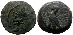 Seleukid Kindgdom, Antiochos VIII Epiphanes (121/0-97/6 BC) AE (Bronze, 7.15g, 19mm). Antioch on the Orontes 
Obv: Radiate and diademed head of Antioc...
