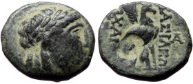 Seleucid kings of Syria, Achaios (Usurper, 220-214) AE (Bronze, 4,70g, 18mm) Sardes, ca 220-214 BC
Obv: Laureate head of Apollo r., 
Rev: BAΣIΛEΩΣ AXA...