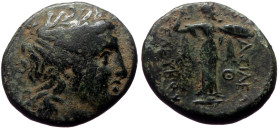 Seleukid King of Syria, Antioch on the Orontes, Seleukos I Nikator (312-281 BC) AE (Bronze, 20mm, 6,16g)
Obv: Laureate head of Apollo right 
Rev: BAΣΙ...