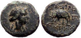 Seleukid Kingdom, Antiochos III. AE, (Bronze, 1.64 g 13 mm),Antioch mint. 223-187 BC.
Obv: Laureate head of Apollo right 
Rev:BAΣIΛEΩΣ / ANTIOX[OY] , ...