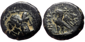 Unreaserched Greek AE coin (Bronze, 1.81g, 10mm)
Obv: Zeus head right,
Rev: … ΣΩΤΗΡ, eagle, star in field
Ref: ???