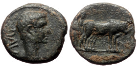 Macedon, Uncertain (Philippi?) AE (Bronze, 4.01g, 17mm) Augustus (27 BC-14 AD). Ae.
Obv: AVG, Bare head right.
Rev: Two founders driving yoke of oxen ...
