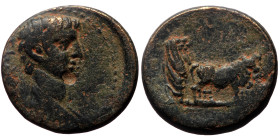 Macedon, Uncertain AE (Bronze, 5.47g, 19mm) Tiberius (14-37), Possibly Philippi.
Obv: TI AVG, Bare head right.
Rev: Pontiff driving yoke of oxen right...