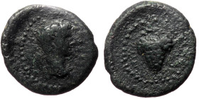 Ionia, Teos AE (Bronze, 2.98g, 16mm) Augustus (27 BC - 14 AD) uncertain identification
Obv: ΣΕΒΑΣΤΟΣ; bare head of Augustus, r.
Rev: ΤΗΙΩΝ; vine-branc...