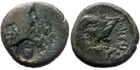 Ueaserched AE coin (Bronze, 5.98g, 20mm), with countermark
Obv: Veiled bust right, with countermark: "Lyre within round incuse" 
Rev: Unknow object
Re...