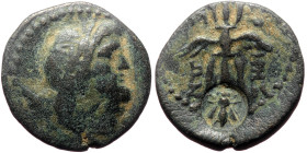 Unreaserched Greek AE coin (Bronze, 4.59g, 19mm), with countermark
Obv: Zeus bust right
Rev: Winged thunderbolt, countermark: "Bee within oval incuse"...