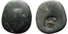 Unreaserched Roman Provincial AE coin (Bronze, 2.67g, 18mm), with countermark
Obv: Blank except for countermark: "owl (?) standing facing" 
Rev: Blank...