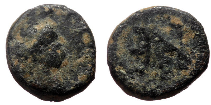 Anastasius I (491-518) AE Nummus (Bronze, 0.55 g, 8mm) Constantinople 
Obv: Diad...