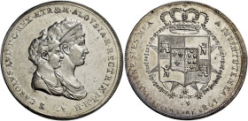 TOSCANA. Firenze.  

Mezza dena o 5 lire fiorentine 1803, AR. Pagani 33.
Rara. Spl / q.Fdc