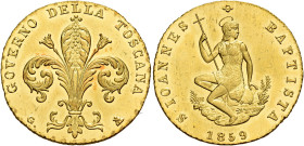 TOSCANA. Firenze.  

Governo Provvisorio di Toscana, maggio 1859 – 17 marzo 1861. Ruspone 1859, AV. Pagani 227. MIR 466. Friedberg 1195.
Rarissimo....
