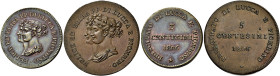 TOSCANA. Lucca.  

Lotto di due monete. Da 5 centesimi 1806, Cu. Pagani 259. Da 3 centesimi 1806, Cu. Pagani 260
q.Spl, Spl