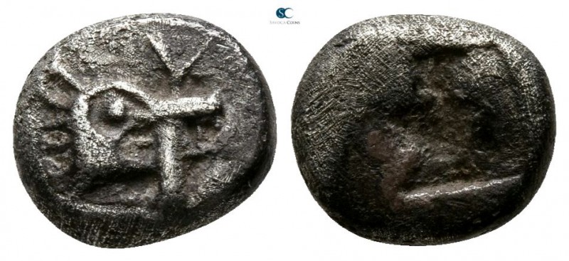 Mysia. Kyzikos circa 550-480 BC. 
Obol AR

7mm., 1,05g.

Head of boar right...