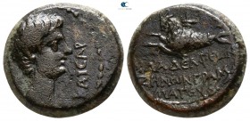 Lydia. Philadelphia (as Neocaesarea). Caligula AD 37-41. Zenon, grammateus philokaisar. Bronze Æ