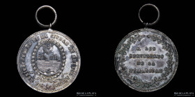 Argentina. 1871. Fiebre Amarilla en Buenos Aires. Plata. R.Grande