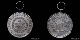 Argentina. 1878. Colegio Griego de Señoritas. Al Merito