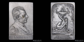 Argentina. Medicina. 1924. Hospital Durand. Monumento a Pascual Palma