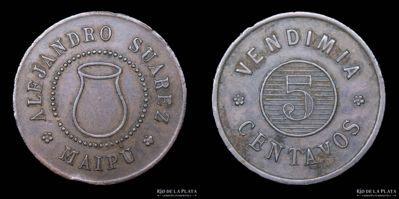 Argentina. Ficha. Vendimia. Finca Las Rosas. Alejandro Suarez. Maipú, Mendoza. V...