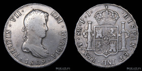 Potosi. Fernando VII. 8 Reales 1809 PJ CJ 86.2