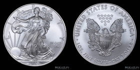 USA. 1 Dollar 2009. Silver Eagle. Capsula. KM310