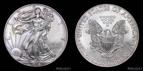 USA. 1 Dollar 2009. Silver Eagle. Estuche. KM310