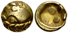 Vindelici AV Stater, 1st century BC 

Celtic coins. Vindelici. AV Stater (17-18 mm, 7.38 g), 1st century BC, "Regenbogenschüsselchen".
 Obv. Bird's...