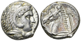 Siculo-Punic AR Tetradrachm, c. 300-289 BC 

Sicily, Siculo-Punic. Entella, c. 300-289 BC. AR tetradrachm (22-24 mm, 17.33 g).
Obv. Head of Heracle...
