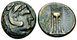 Philippi AE17, c. 356-345 BC 

Macedon, Philippi. AE17 (6.46 g), c. 356-345 BC. 
Obv. Head of youthful Herakles to right, wearing lion's skin headd...