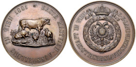 Österreich, AE Medaille 1881, Mastvieh-Ausstellung 

Österreich. Wien. AE Medaille 1881 (75 mm, 139.44 g), Erste Mastvieh-Ausstellung.

Hübsche Pa...