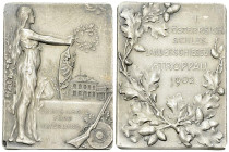 Troppau, AR Schützenplakette 1902 

Austria. Troppau. AR Schützenplakette 1902 (27x36 mm, 17.79 g), auf das I. Österreichisch-schlesische Landesschi...