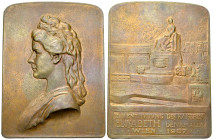 Österreich, AE Plakette 1907, Elisabeth-Denkmal 

Österreich. Franz Josef I (1848-1916). AE Plakette 1907 (), auf die Enthüllung des Kaiserin-Elisab...