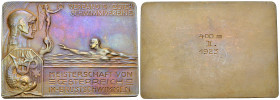 Österreich, AE Plakette 1923, Schwimmmeisterschaft 

Österreich. AE Plakette 1919 (40x55 mm, 43.02 g), Verband der österreichischen Schimmvereine, M...