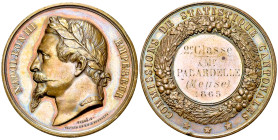 France, AE Médaille 1865, Commissions statistique 

France, second Empire. Meuse. AE Médaille 1865 (51 mm, 59.03 g), Commissions de statistique cant...