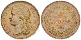 Paris, AE Médaille 1878, Exposition universelle 

France, Paris. AE Médaille 1878 (30 mm, 15.27 g), Exposition universelle Paris, Administration des...