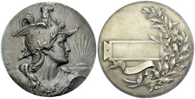 France, Médaille en bronze argenté s.d., Prix 

France. Médaille en bronze argenté s.d. (c. 1900) (50 mm, 47.50 g), Prix.

SUP.