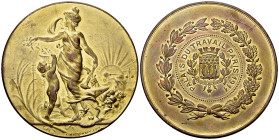 France, Médaille en bronze doré 1911, Palais du travail 

France. Médaille en bronze doré 1911 (58 mm, 76.77 g), Palais du Travail Paris. Par Masson...