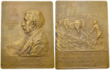 France, AE Plaquette 1912, J. Renaut 

France. AE Plaquette 1912 (62x80 mm, 156.35 g), J. Renaut, Collège de France 1872-1877, Faculté de Médecine L...