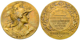 France, AE Médaille 1935, Concours de devoirs 

France. AE Médaille 1935 (36 mm, 22.13 g), Concours de devoirs de vacances, Cours élémentaire 2e ann...