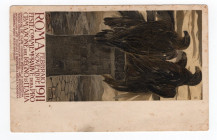 Cartolina - D'epoca viaggiata, Feste commemorative della proclamazione del Regno d'Italia 

SPL+

SPEDIZIONE IN TUTTO IL MONDO - WORLDWIDE SHIPPIN...