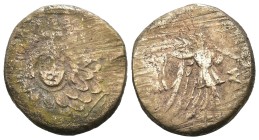 Greek Bronze coin, Weight 7.07 gr - Diameter 22 mm PONTUS, Amisos . Circa 85-65 BC. Æ….Aegis / AMI-SOU, Nike walking right, holding palm tied with fil...