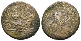Greek bronze coin, Weight 7.51 gr - Diameter 21 mm PONTUS, Amisos . Circa 85-65 BC. Æ….Aegis / AMI-SOU, Nike walking right, holding palm tied with fil...