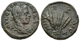 Weight 6.15 gr - Diameter 19 mm Bronze Roman Imperial Coin