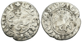 Weight 2.32 gr - Diameter 21 mm Silver Medivial Coin