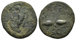 Weight 3.06 gr - Diameter 18 mm Bronze Roman Imperial Coin