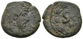 Weight 9.69 gr - Diameter 26 mm Bronze Roman Imperial Coin