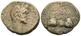 Weight 8.17 gr - Diameter 23 mm Bronze Roman Provincial Coin